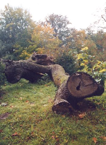 Schlosspark