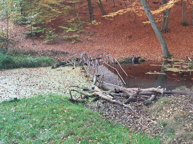 Brücke über die Briese