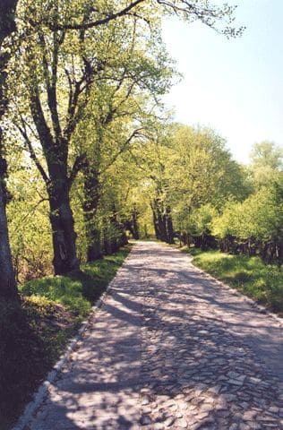 Schlosspark