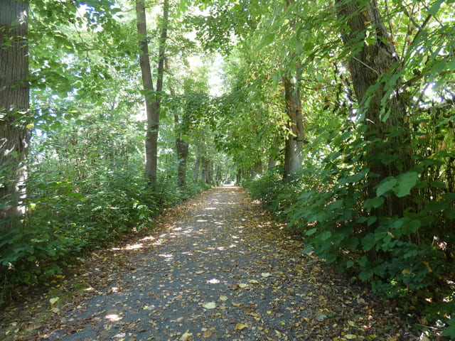 Schlosspark Schwante