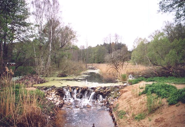 Polzowkanal an der Zernikower Mühle