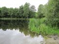 Briesesee