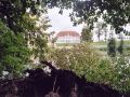 Blick zum Schloss