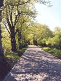 Schlosspark