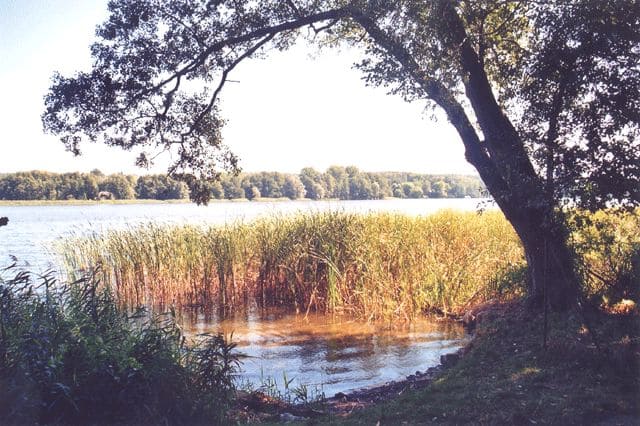 Zermützelsee