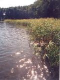 Zermützelsee