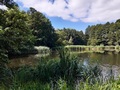 Mühlenteich