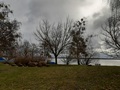 Senftenberger See