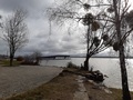 Senftenberger See