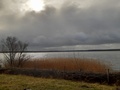 Senftenberger See