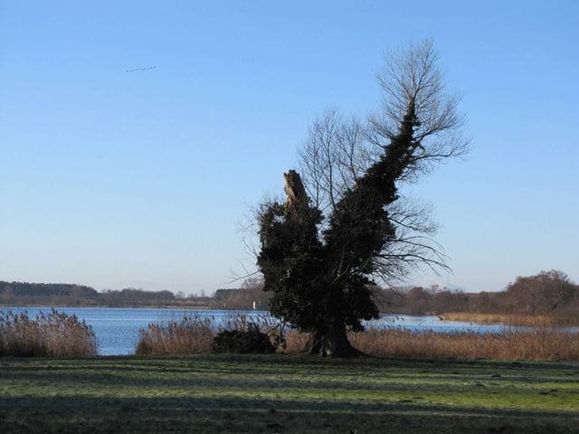 Schlosspark mit Schlänitzsee