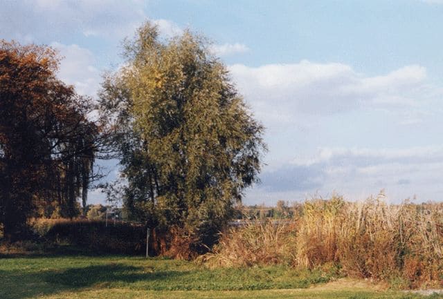 Schlosspark Caputh