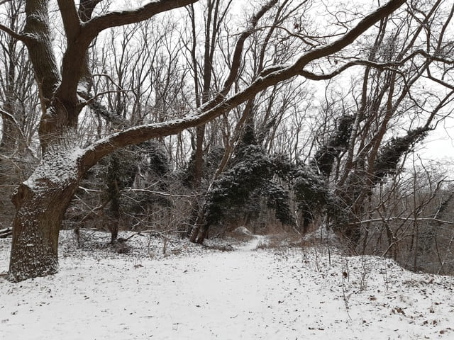 Winterlandschaft