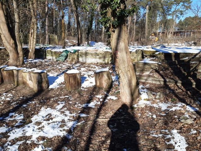 Fundament des ehemaligen Ballsaales von Kleinmachnow