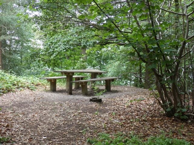 Rastplatz am Ostufer des Klostersees
