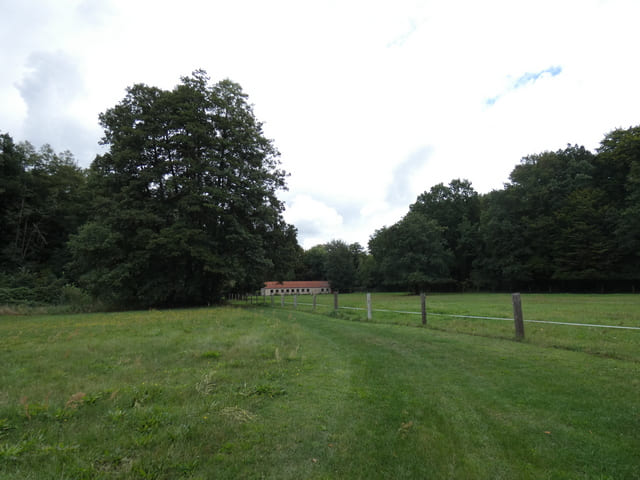 Blick zum Schlosspark