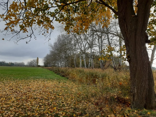 Landschaft bei Warchau