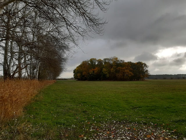 Landschaft bei Warchau