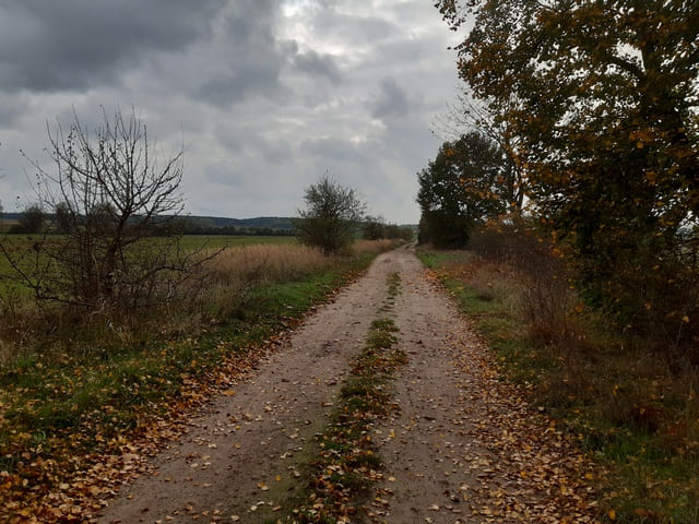 Weg von Warchau nach Wusterwitz