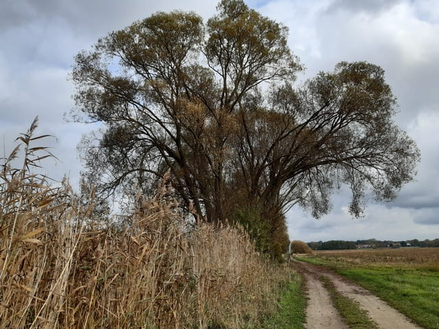Weg von Warchau nach Wusterwitz