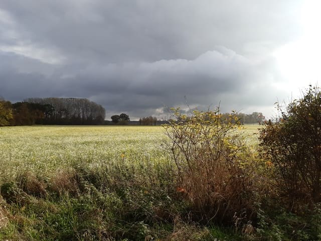 Landschaft bei Warchau