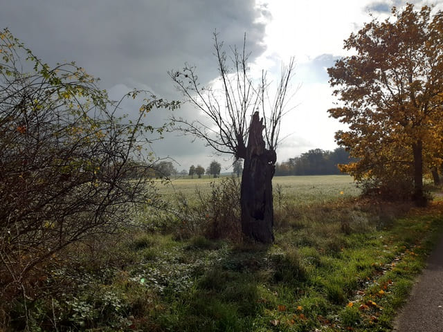 Landschaft bei Warchau