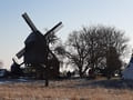 Beelitzer Bockwindmühle