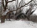 Winterlandschaft