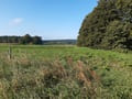 Landschaft bei Rieben