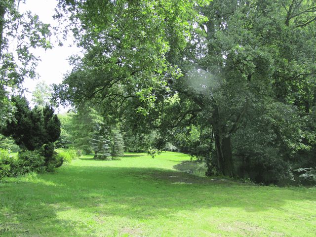 Schlosspark Gadow