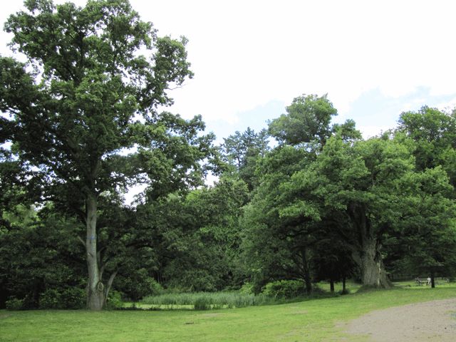 Schlosspark