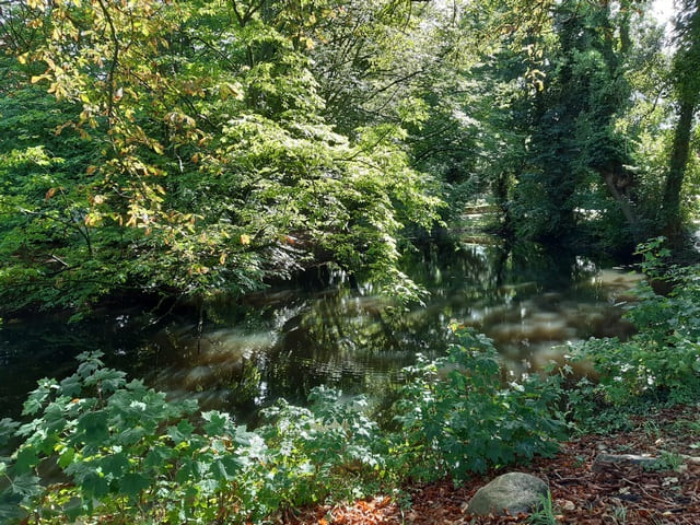 Karthane an der Viesecker Mühle
