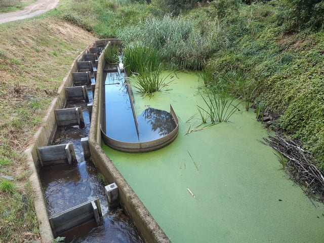 Fischtreppe am Karthane-Wehr