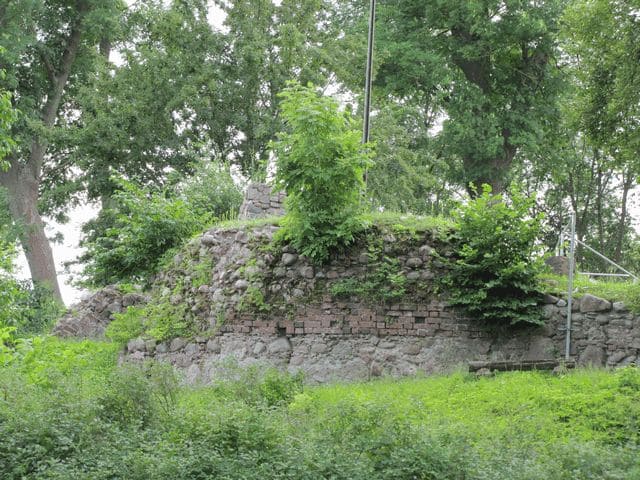 Reste der Gänseburg