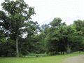 Schlosspark