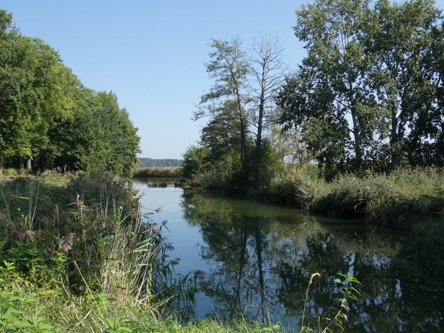 Ableiter Peitzer Teiche 2