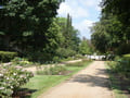 Ostdeutscher Rosengarten