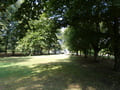 Wehrinselpark