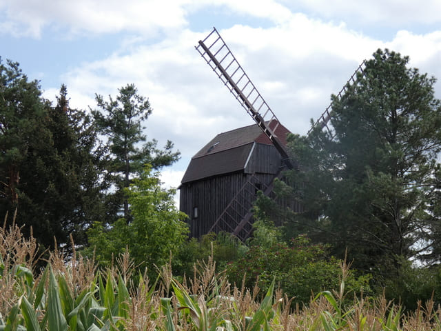 Bockwindmühle Wahlsdorf