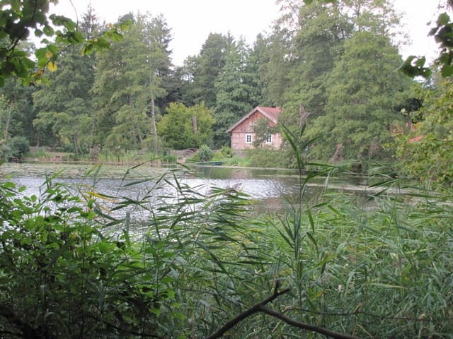 Blick über den Mühlenteich zur Glambecker Mühle