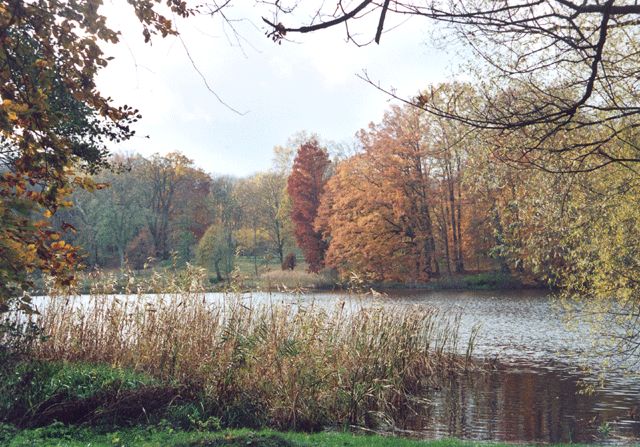 Großer Haussee