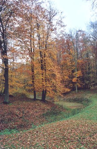 Schlosspark