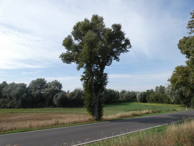 Landschaft bei Flieth