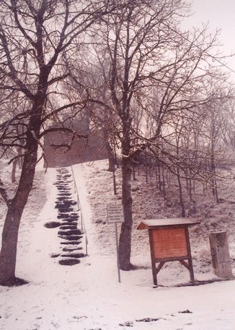 Aufgang zur Burg Greiffenberg