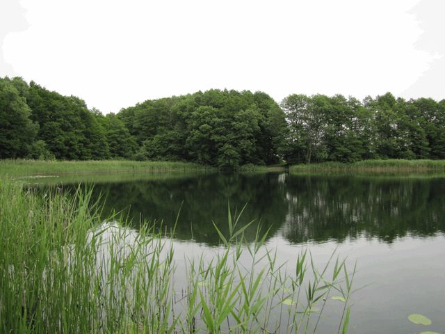 Pinnower See