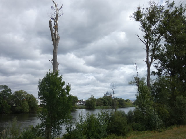 Hohensaaten-Friedrichsthaler Wasserstraße