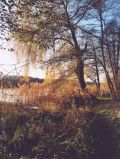 Lübbesee