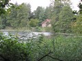 Blick über den Mühlenteich zur Glambecker Mühle