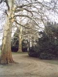 Lenné-Park