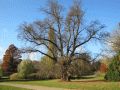 Lenné-Park